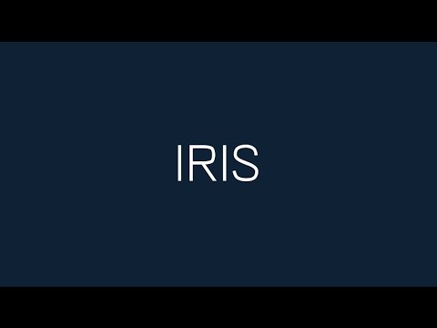 Aimer – Iris