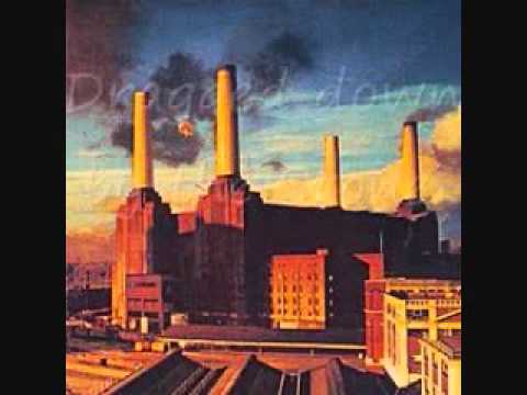 Pink Floyd – Dogs